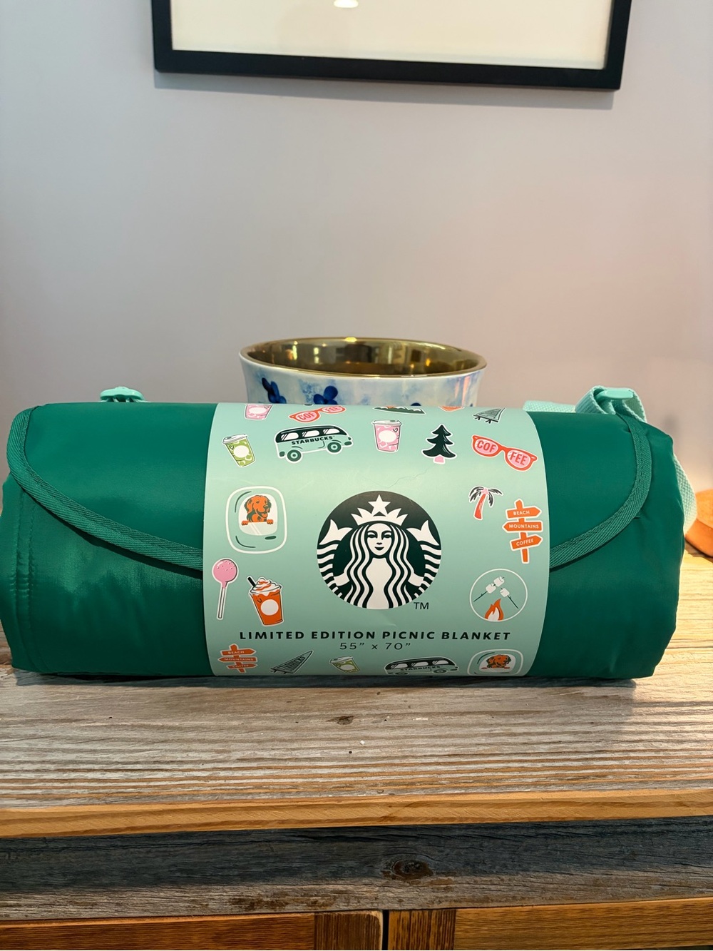 Starbucks Green Limited Edition Picnic Blanket